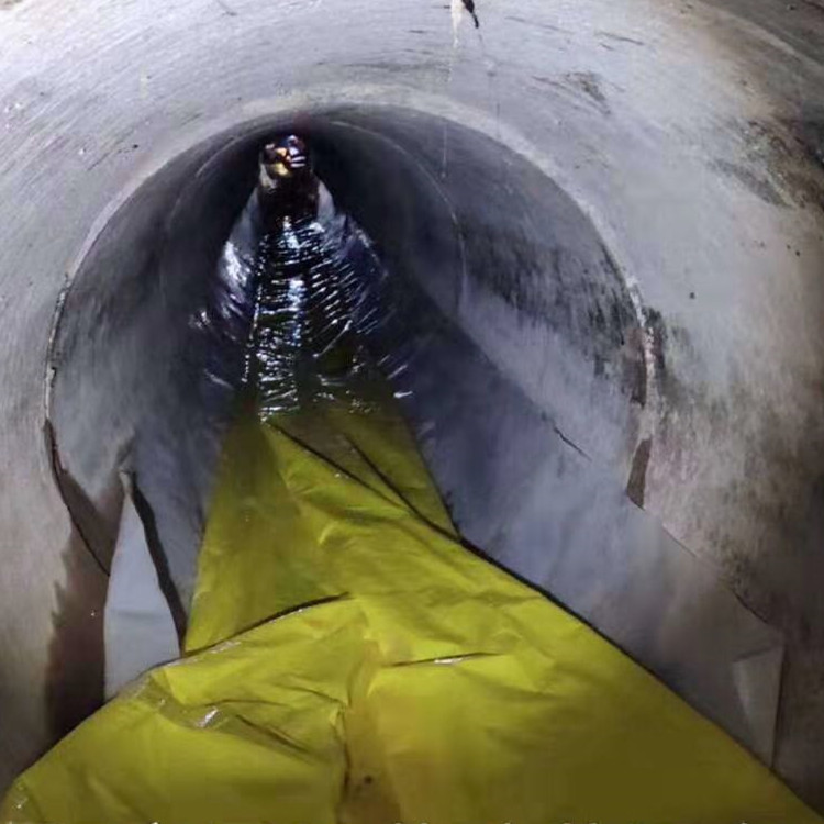 西昌镇管道光固化修复